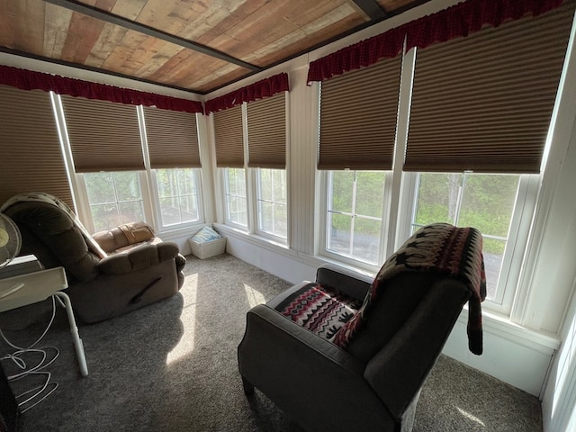 115 Pine St, Galeton, PA 16922 - sunroom with carpet and wood ceiling