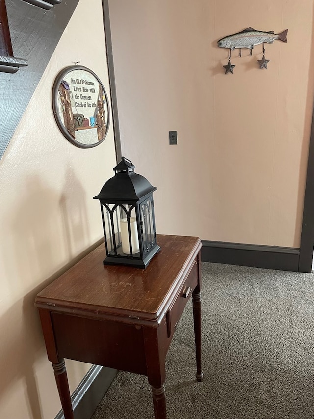 115 Pine St, Galeton, PA 16922 - detailed view of carpet floors