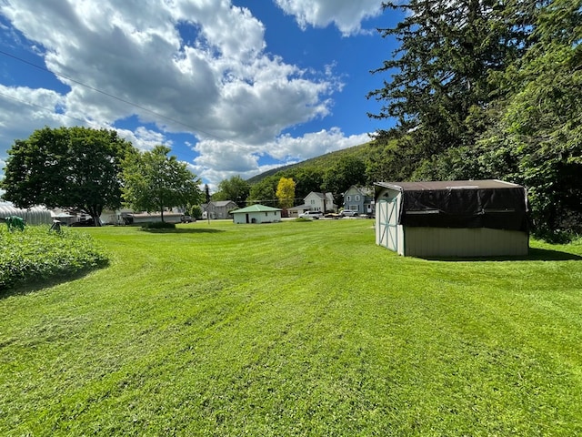 115 Pine St, Galeton, PA 16922 - view of grassy yard