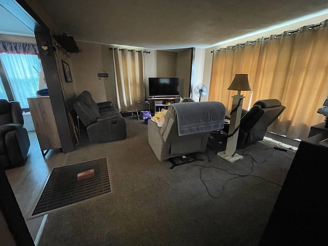 115 Pine St, Galeton, PA 16922 - view of carpeted living room