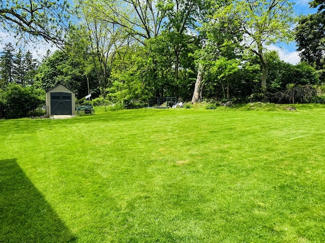 view of grassy yard