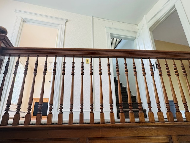 detailed view