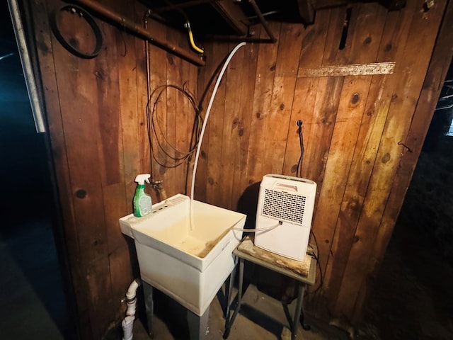 below grade area with wooden walls and a sink