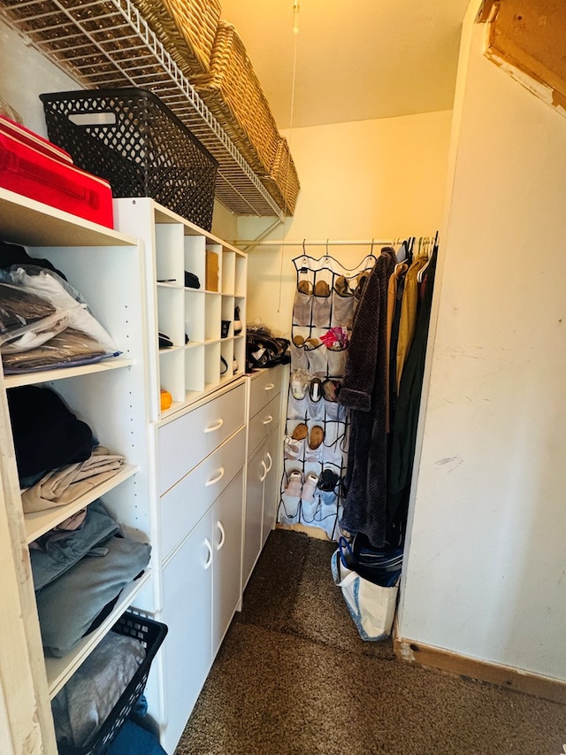 walk in closet with carpet flooring
