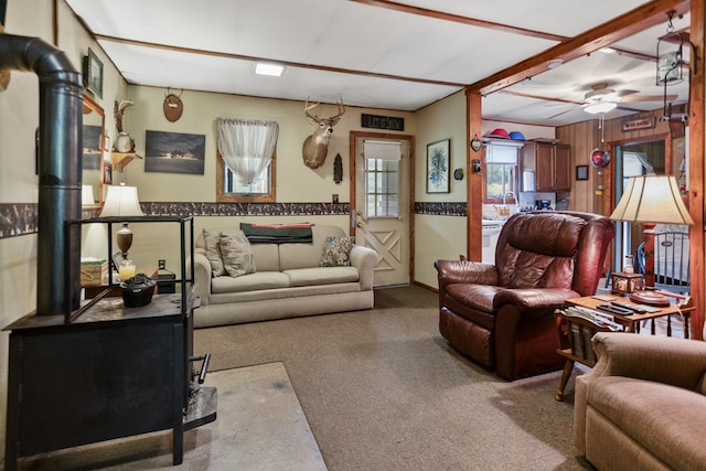 858 Church Rd, Canton, PA 17724 - photo 29