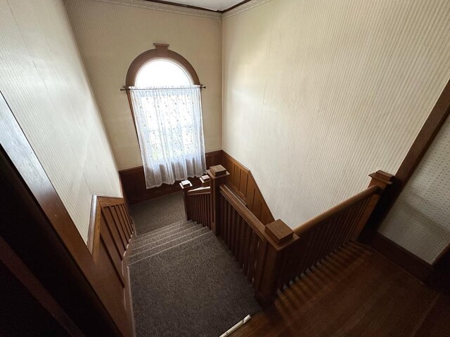 143 N Center St, Canton, PA 17724 - photo 20