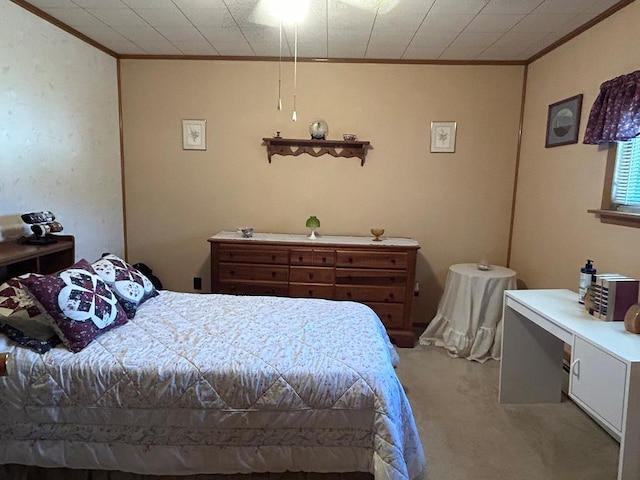 408 S E St, Coudersport, PA 16915 - bedroom featuring ornamental molding and light carpet