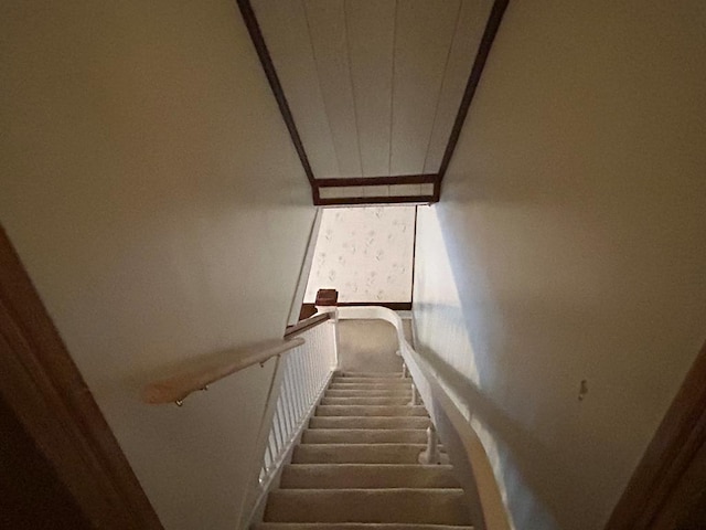 408 S E St, Coudersport, PA 16915 - stairway featuring carpet flooring