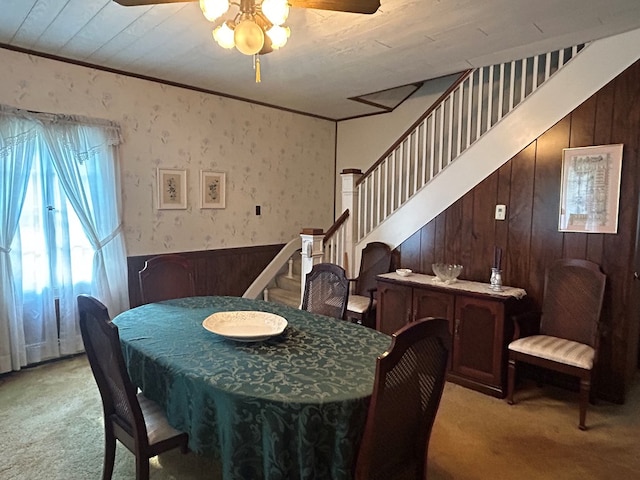 408 S E St, Coudersport, PA 16915 - dining space with light carpet, stairway, a ceiling fan, wooden walls, and crown molding