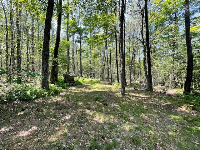 230 Ferds Dr, Coudersport, PA 16915 - photo 56