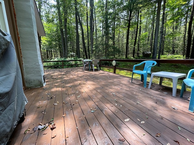 230 Ferds Dr, Coudersport, PA 16915 - photo 59