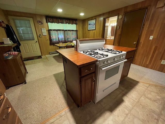 230 Ferds Dr, Coudersport, PA 16915 - photo 15