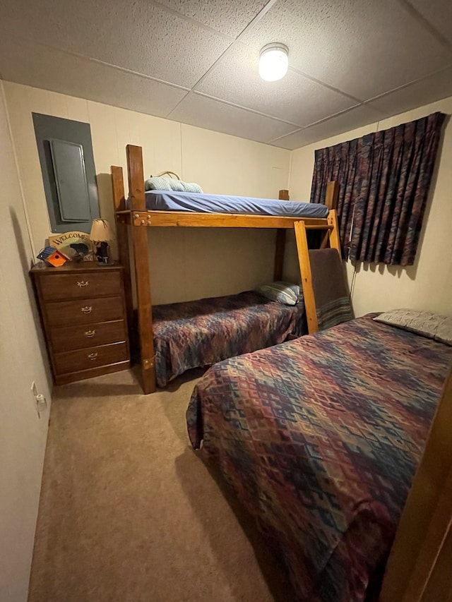230 Ferds Dr, Coudersport, PA 16915 - photo 40