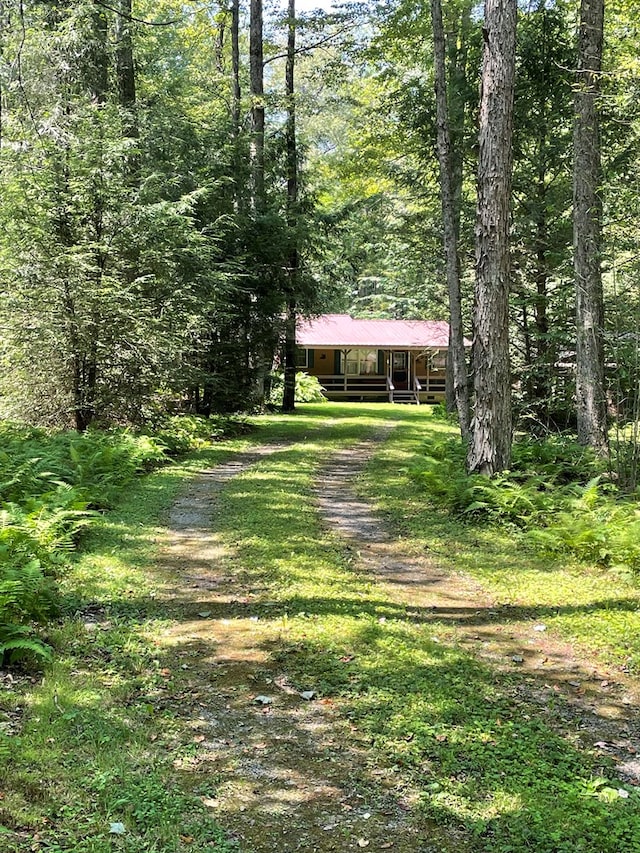 230 Ferds Dr, Coudersport, PA 16915 - photo 50