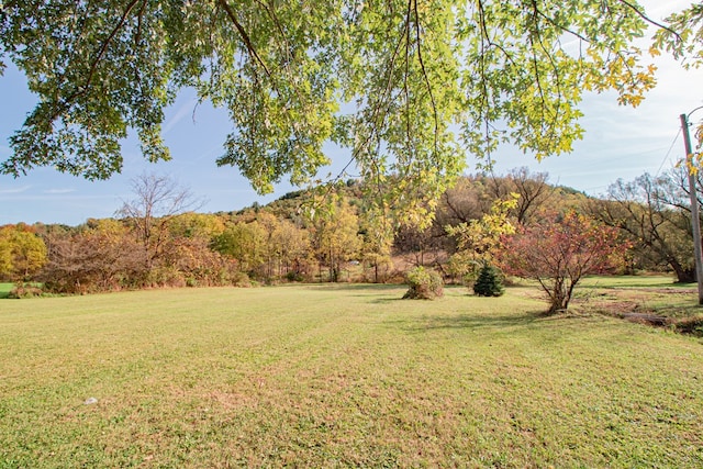 view of yard