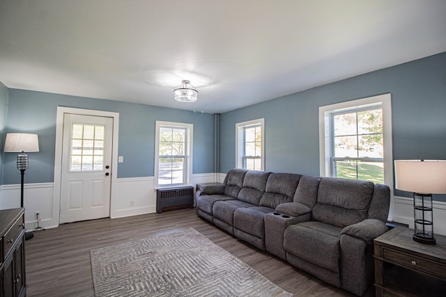 living room with hardwood / wood-style flooring, plenty of natural light, and radiator