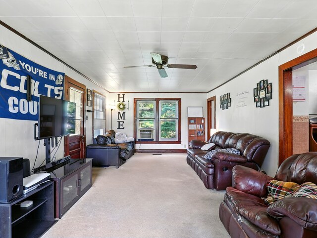 27 W Drybrook Rd, Waverly, NY 14892 - photo 13