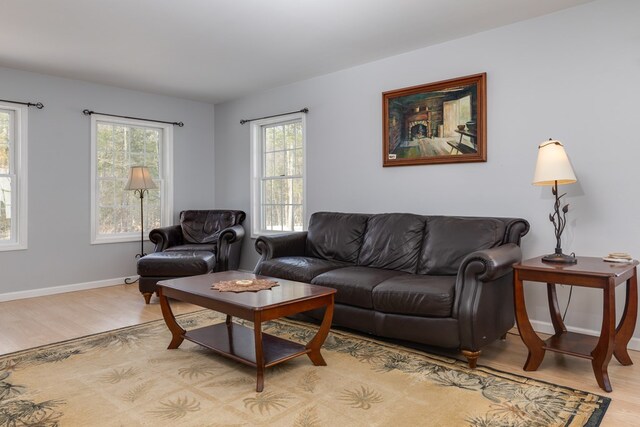 6270 Wolf Run Rd, Campbell-Savona, NY 14821 - living area with light wood finished floors and baseboards
