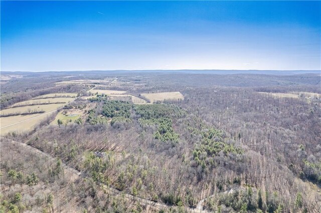 6270 Wolf Run Rd, Campbell-Savona, NY 14821 - bird's eye view of a forest