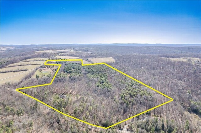 6270 Wolf Run Rd, Campbell-Savona, NY 14821 - aerial overview of property's location with a heavily wooded area and property boundaries highlighted