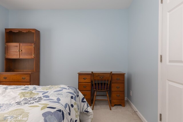 6270 Wolf Run Rd, Campbell-Savona, NY 14821 - bedroom with light carpet and baseboards