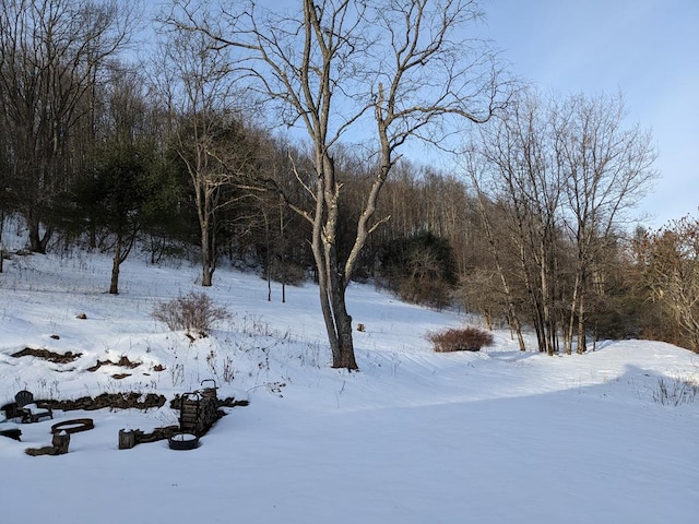 view of yard covered in snow