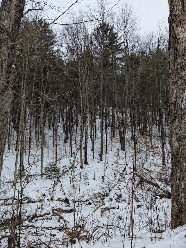 view of snowy landscape