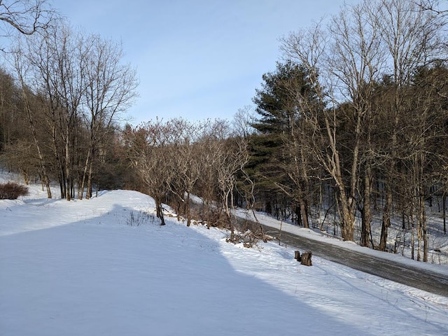 view of snowy yard