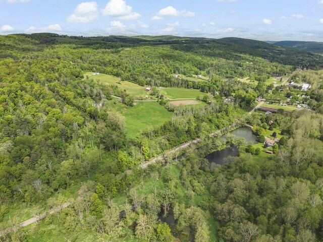 1972 Burnham Rd, Gillett, PA 16925 - aerial view of property and surrounding area with a heavily wooded area and a large body of water