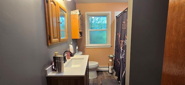1972 Burnham Rd, Gillett, PA 16925 - full bath featuring a baseboard heating unit, toilet, vanity, wood finished floors, and a shower with shower curtain