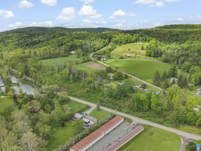 1972 Burnham Rd, Gillett, PA 16925 - aerial view of property's location featuring a heavily wooded area