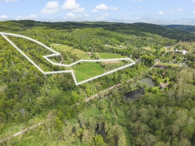1972 Burnham Rd, Gillett, PA 16925 - aerial view of property's location featuring a heavily wooded area, property boundaries highlighted, and a nearby body of water