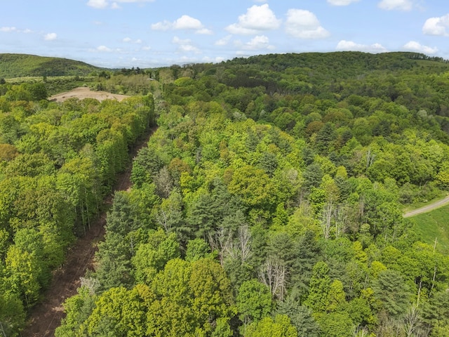 1972 Burnham Rd, Gillett, PA 16925 - bird's eye view of a heavily wooded area