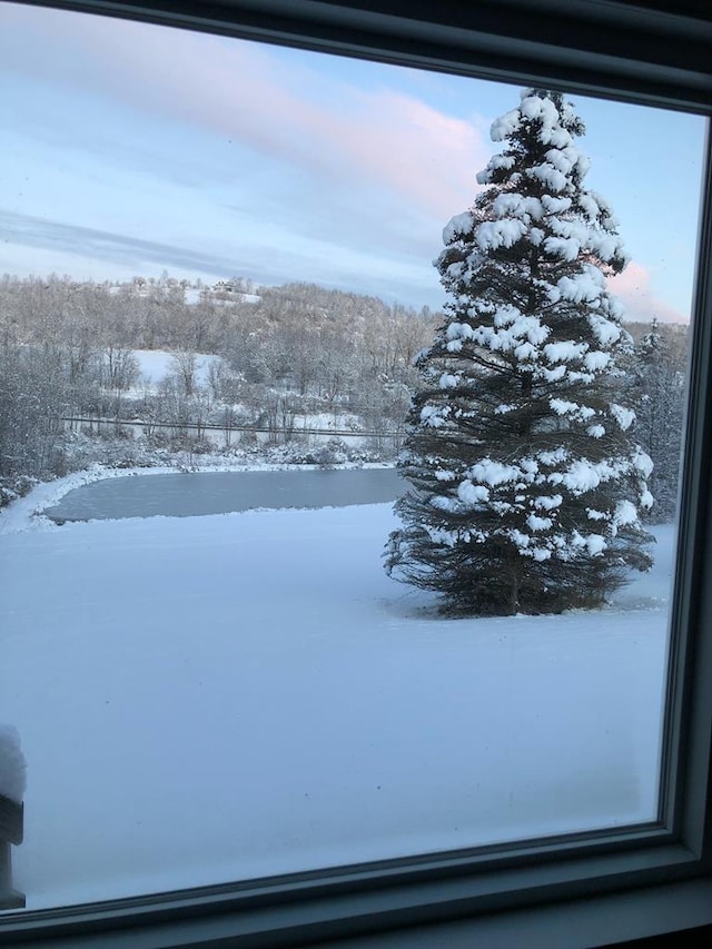 view of yard layered in snow