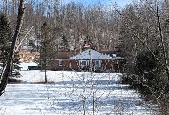 view of yard covered in snow