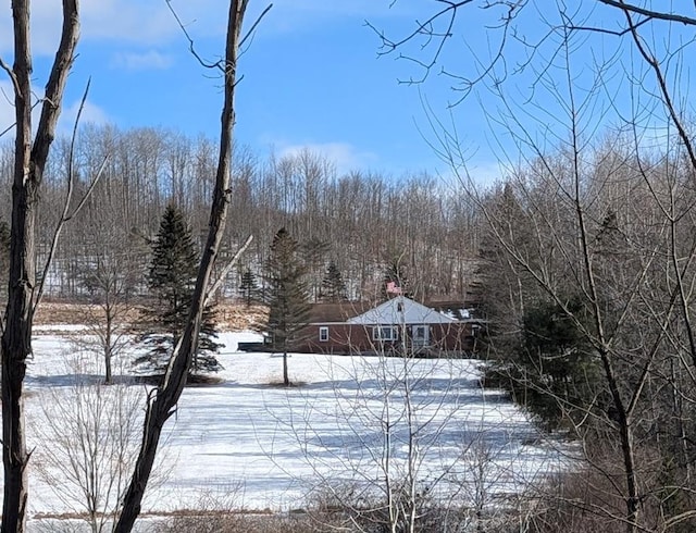 view of snowy yard