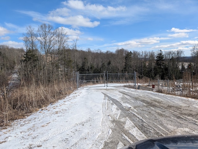 view of road with a gated entry