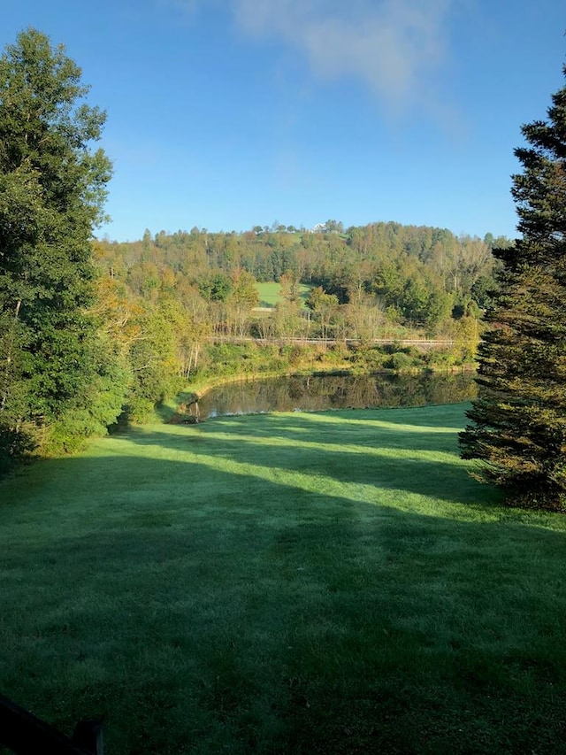 view of yard featuring a water view and a view of trees