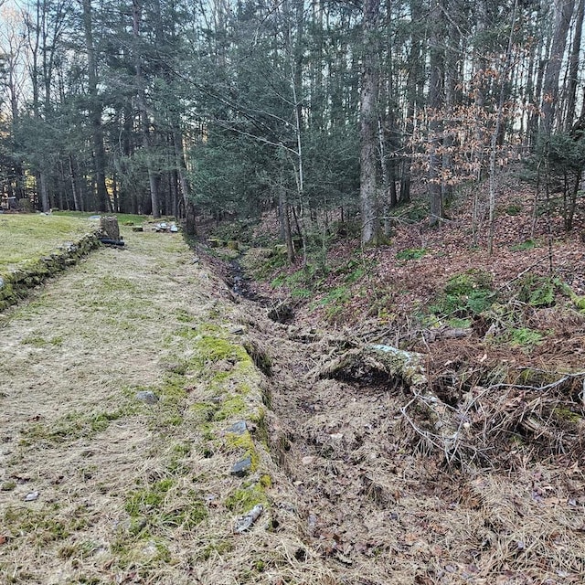 view of local wilderness