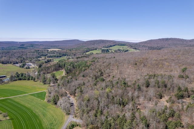 view of mountain feature