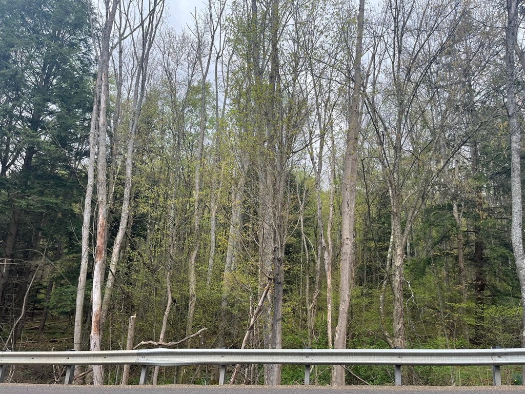 00 Rte 6, Port Allegany, PA 16743