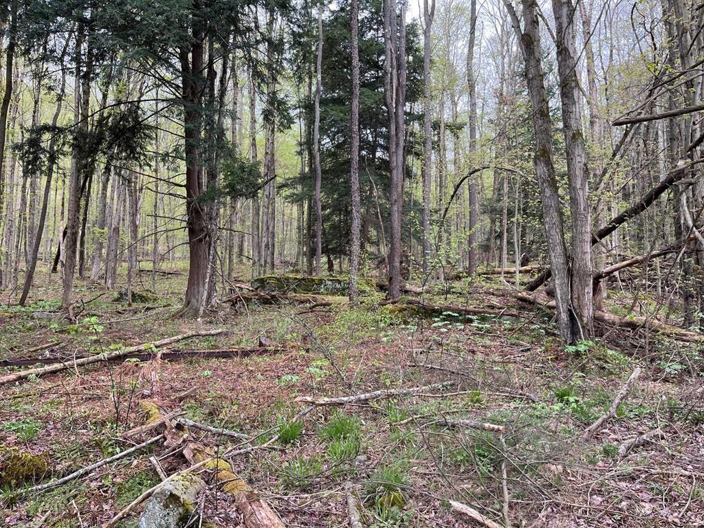 00 Rte 6, Port Allegany, PA 16743