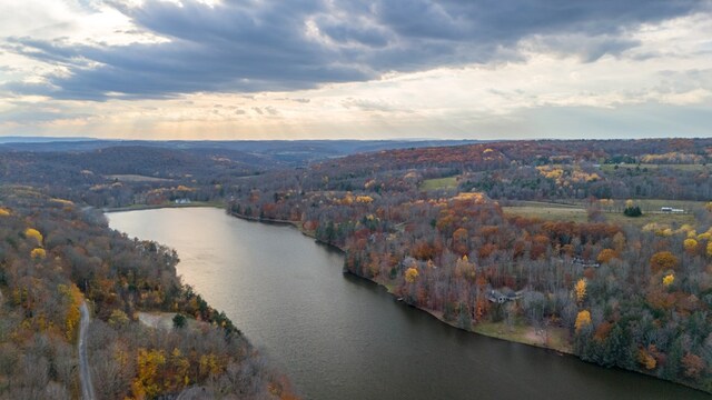 aerial view at dusk with a water view