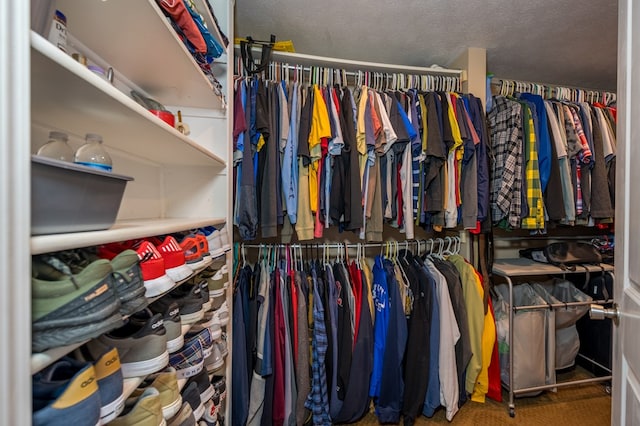 walk in closet with carpet flooring