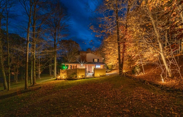 view of yard at night