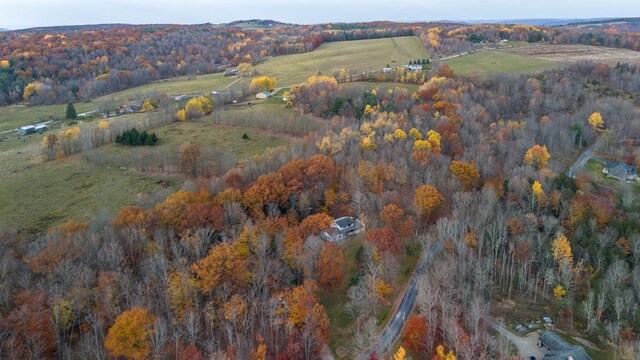 drone / aerial view