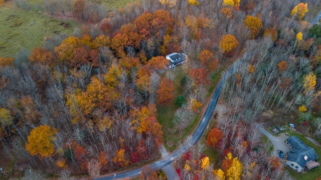 bird's eye view