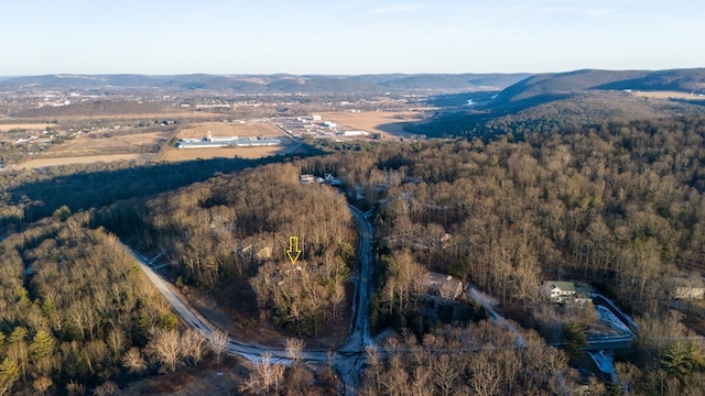 bird's eye view with a mountain view