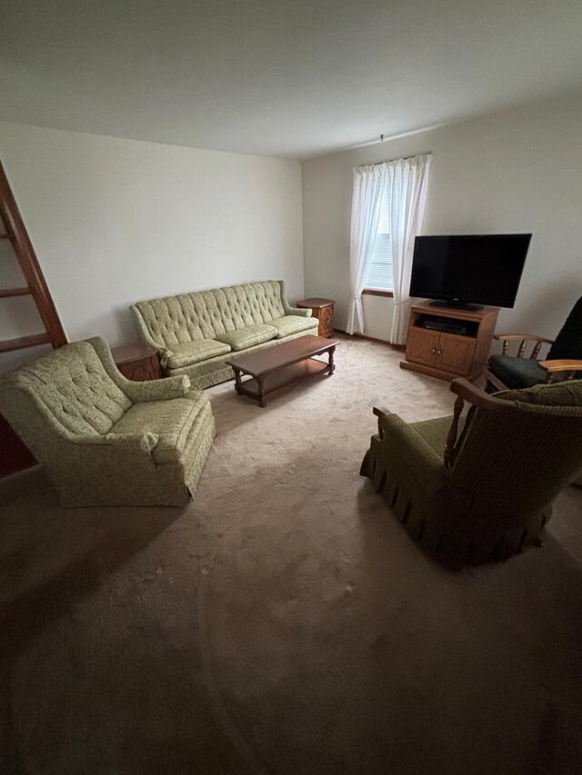 205 E Main St, Elkland, PA 16920 - living room featuring carpet floors