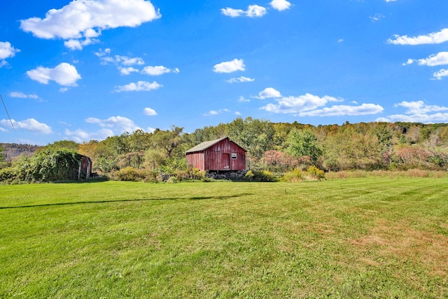 20 Mill Creek Rd, Mansfield, PA 16933 - view of green lawn with a barn, an outbuilding, a forest view, and a view of rural / pastoral area